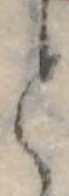 位置 確認된 と