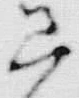 文字着