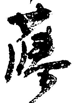 藤の位置