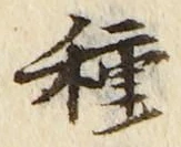 글자 種