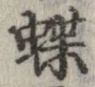 蝶 위치 확인됨