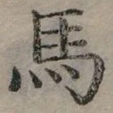馬 위치 확인됨