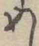 位置定マレル未定