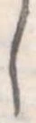 𛁅 위치 확인됨