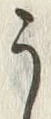 “う”字