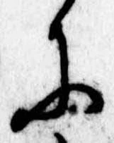Đã định vị 𛂋