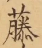 글자 藤