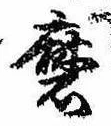 Đã định vị 磨