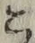 文字 こ
