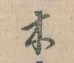 位置定マレル木