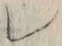 字レ