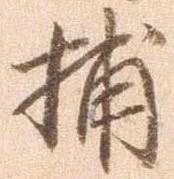 已定位捕