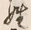 글자 姓
