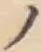 字ノ