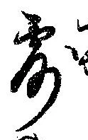 露 위치 확인됨