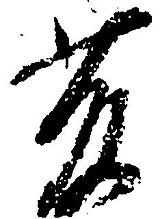 藤の位置