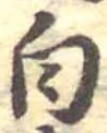 白 위치 확인됨