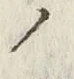 字ノ