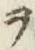 “ヲ”字