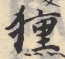 獯の位置