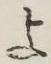 字よ