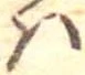位置 確認된 未指定