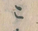 こ 위치 확인됨