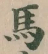 馬 위치 확인됨