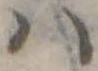 𛂞の位置