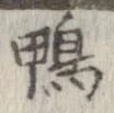 鴨 위치 확인됨