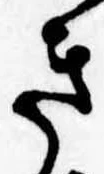 Đã định vị き