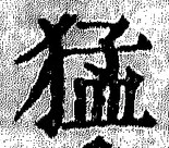文字猛