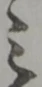 位置 確認된 之