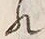 𡨸れ