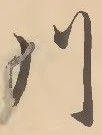 글자 川