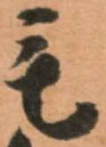 毛 위치 확인됨