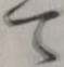 “て”字