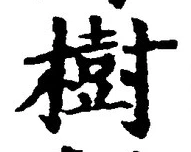 글자 樹