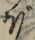 已定位ぼ
