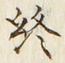 文字終