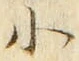 「小」字