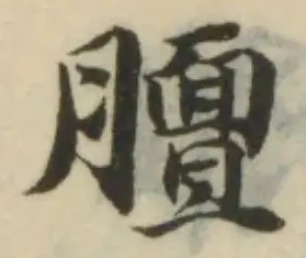 膻の位置
