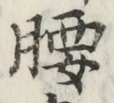글자 腰