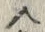 Character 入