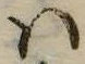 Đã định vị 𛂞