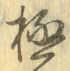已定位極
