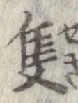Đã định vị 隻
