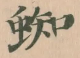 蜘 위치 확인됨