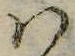 Đã định vị 𛂞