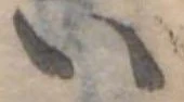 い 위치 확인됨